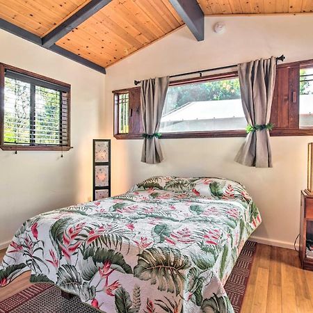 Cozy Volcano Studio With Phenomenal Rainforest Views Mountain View Dış mekan fotoğraf