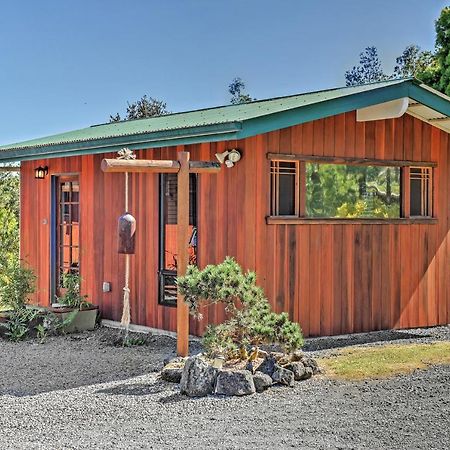 Cozy Volcano Studio With Phenomenal Rainforest Views Mountain View Dış mekan fotoğraf