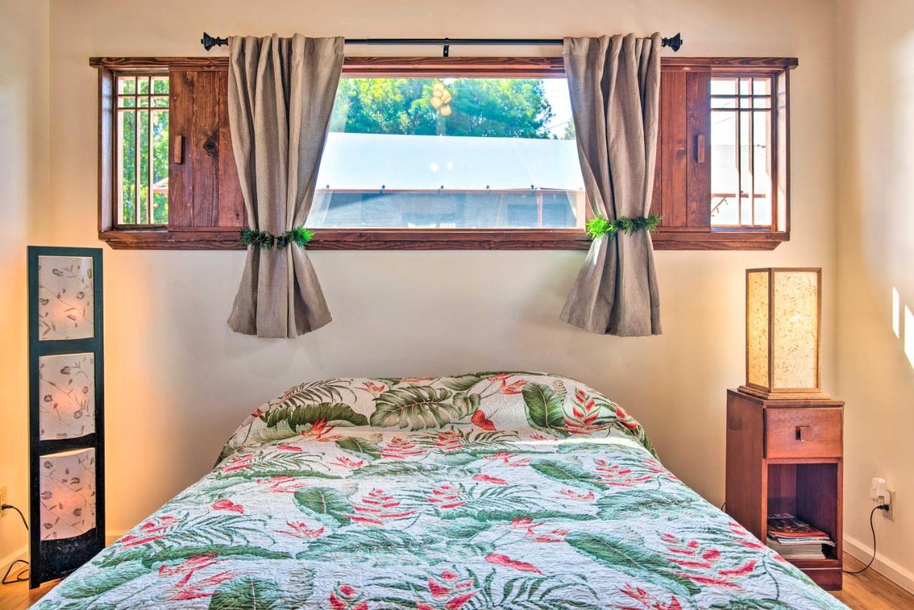 Cozy Volcano Studio With Phenomenal Rainforest Views Mountain View Dış mekan fotoğraf