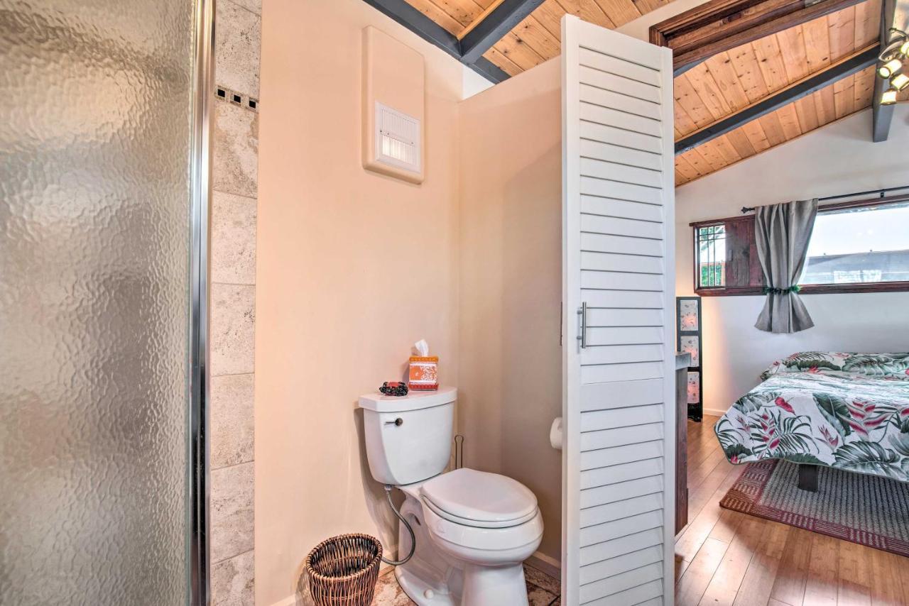 Cozy Volcano Studio With Phenomenal Rainforest Views Mountain View Dış mekan fotoğraf