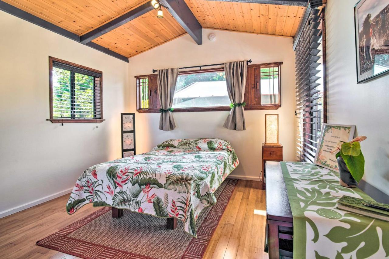 Cozy Volcano Studio With Phenomenal Rainforest Views Mountain View Dış mekan fotoğraf