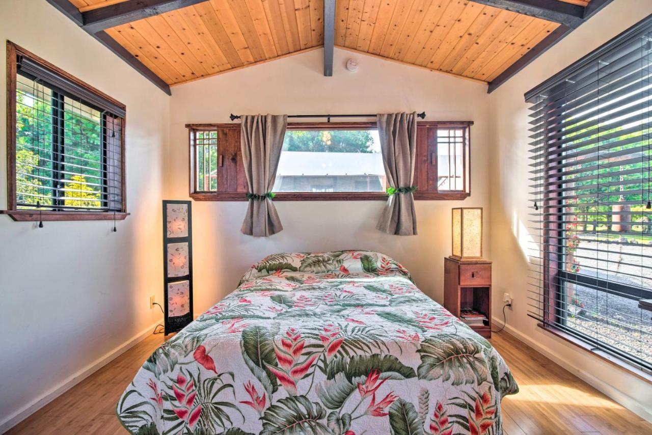 Cozy Volcano Studio With Phenomenal Rainforest Views Mountain View Dış mekan fotoğraf