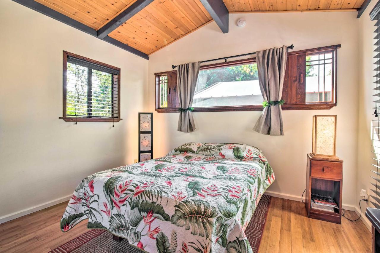 Cozy Volcano Studio With Phenomenal Rainforest Views Mountain View Dış mekan fotoğraf